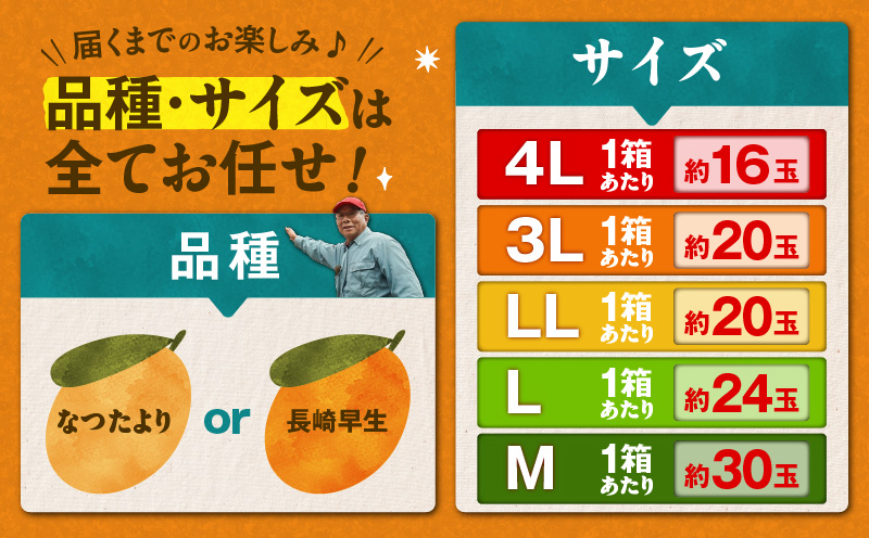 旬の朝採り！ 鹿児島 桜島産びわ 1箱（秀品）　K343-001