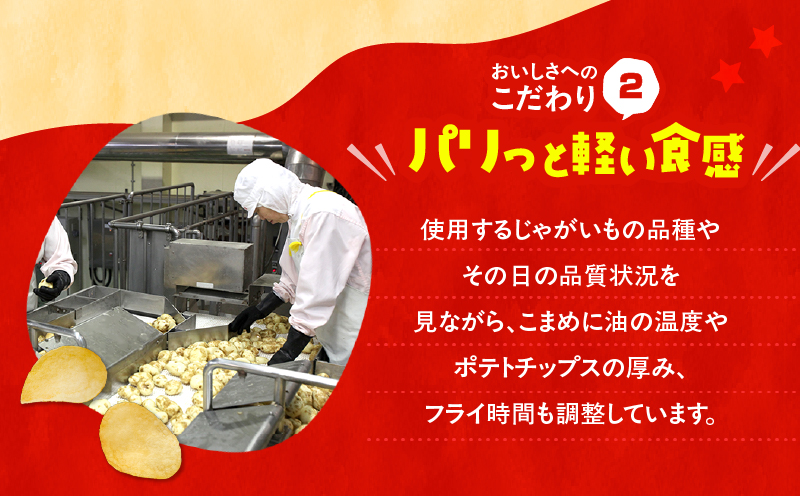  【4ヶ月定期便】カルビー ポテトチップス 食べ比べ4種【うすしお、コンソメパンチ、のりしお、九州しょうゆ】　K194-T01