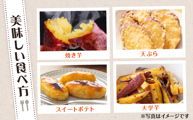 【2025年先行予約】畑の金貨 生芋 紅はるか4kg K181-006