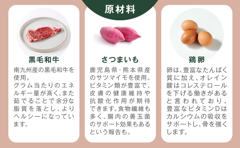 【全12回定期便】Buddy FOOD 01 黒毛和牛×6パック　K390-T01_c