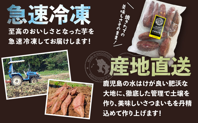 畑の金貨 焼き芋シルクスイート2kg　K181-005_03