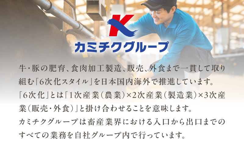 【A5和牛・豚・ホルモン】焼肉セット900g　K002-055