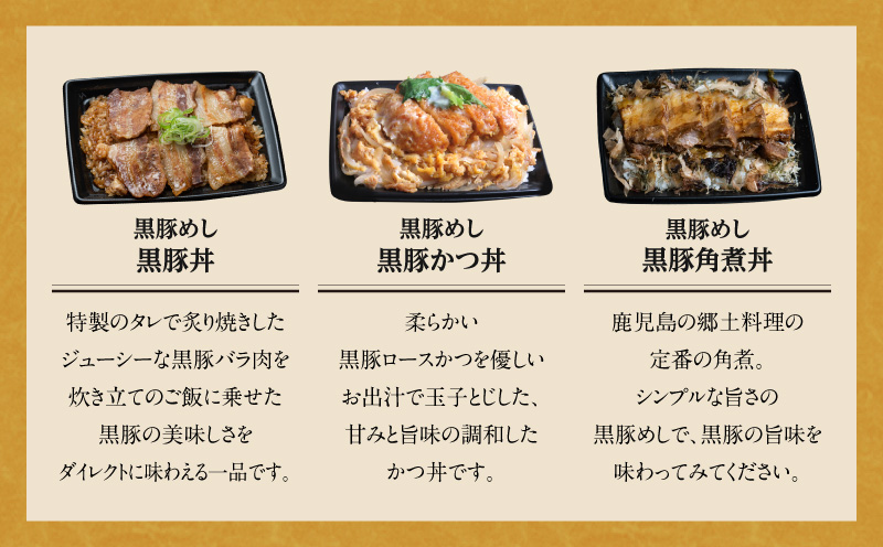 【かごしま黒豚 六白亭】黒豚バラエティピザセット【1】　K163-016