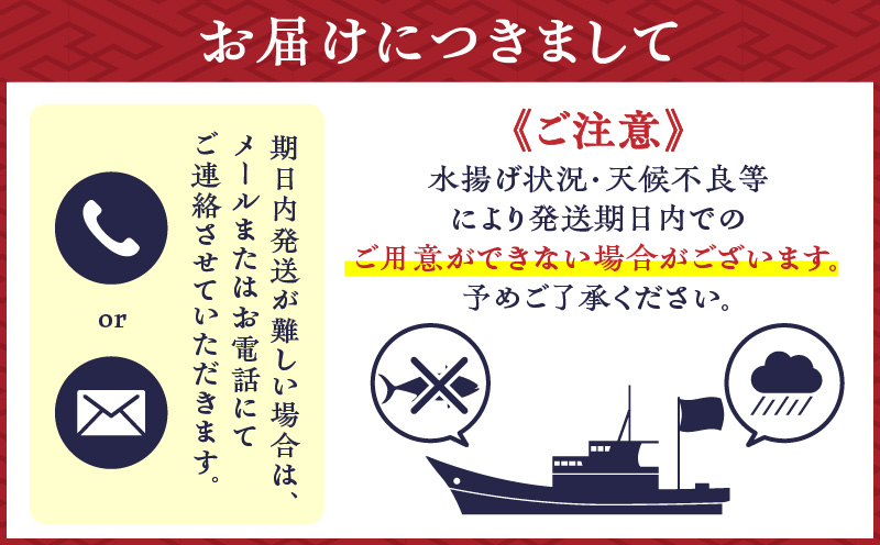 鹿児島産 キビナゴ刺身 40尾 4人前　K100-010