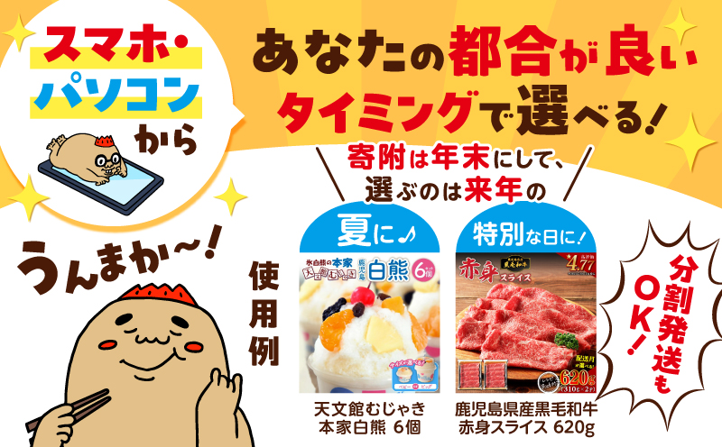 あとからセレクト【ふるさとギフト】250万円　K000-250