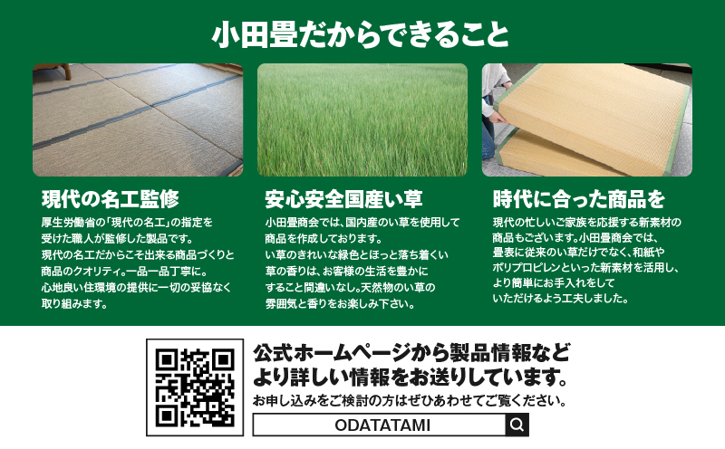 現代の名工カンパニー特製！ペット・介護向けペット・介護用滑らず汚れず傷のつかない洗える畳『洗畳』縁無琉球畳新調6帖サイズ（畳半帖サイズ12枚）　K348-010