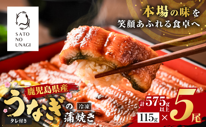 鹿児島県産うなぎ蒲焼 115g×5尾 575g以上　K379-001_02