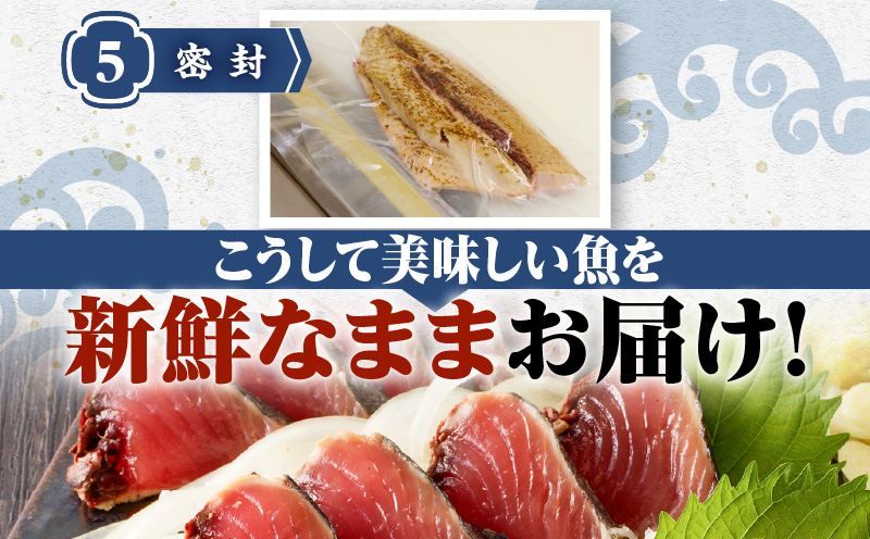 【山実水産】もちもち生カツオ(R)たたき6節+養殖かんぱち柵セット　K046-001