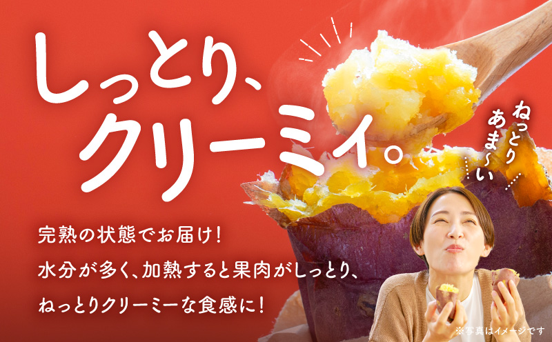＜訳あり＞さつま芋（紅はるか）5kg　K396-001