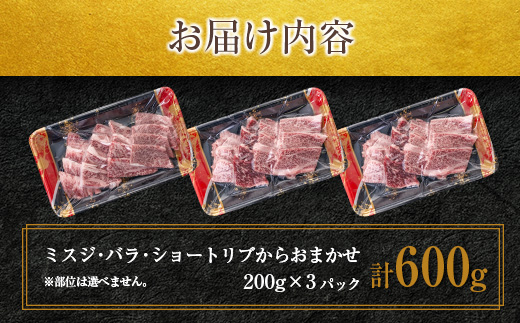 鹿児島県産黒毛和牛 おまかせ焼肉 600g　K002-046