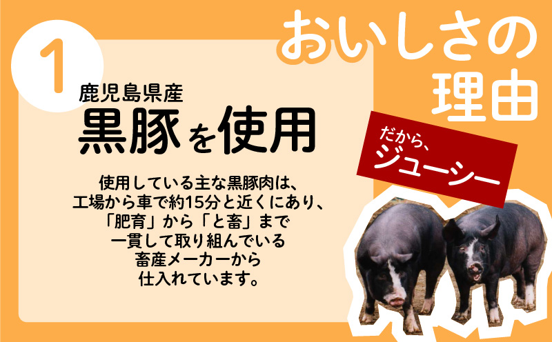 ちゃこばあちゃんの黒豚入りうんまか生餃子　60個入り　K027-001