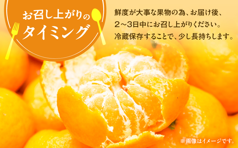 【訳あり品】旬の朝採り！鹿児島桜島小みかん 1箱　K343-003