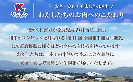 【期間限定】【訳あり】鹿児島県産黒毛和牛 タレ漬け牛こま切れ 1.8kg　K002-053_18