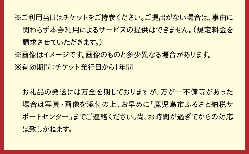 【夜間遊覧飛行】錦江湾ナイトコース　ブリテンノーマン式BN2B型（大人9名まで）　K222-FT009