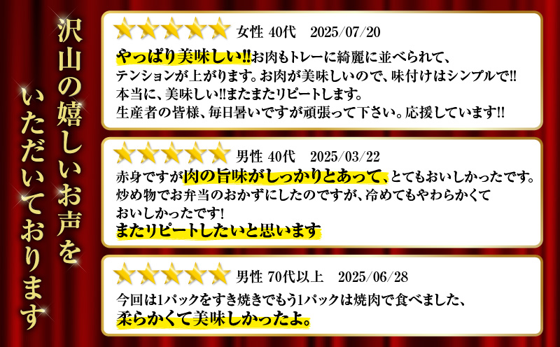 【10営業日以内に発送】鹿児島県産黒毛和牛赤身スライス 620g（310g×2P）　K086-048