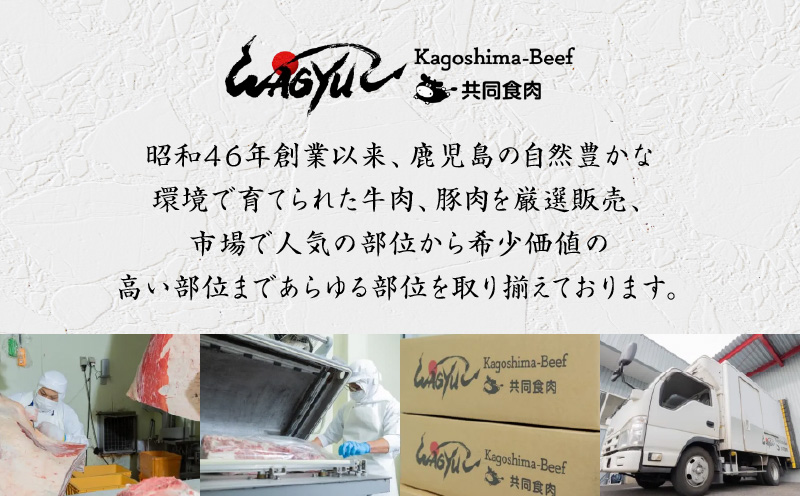 リブローススライス　K137-003