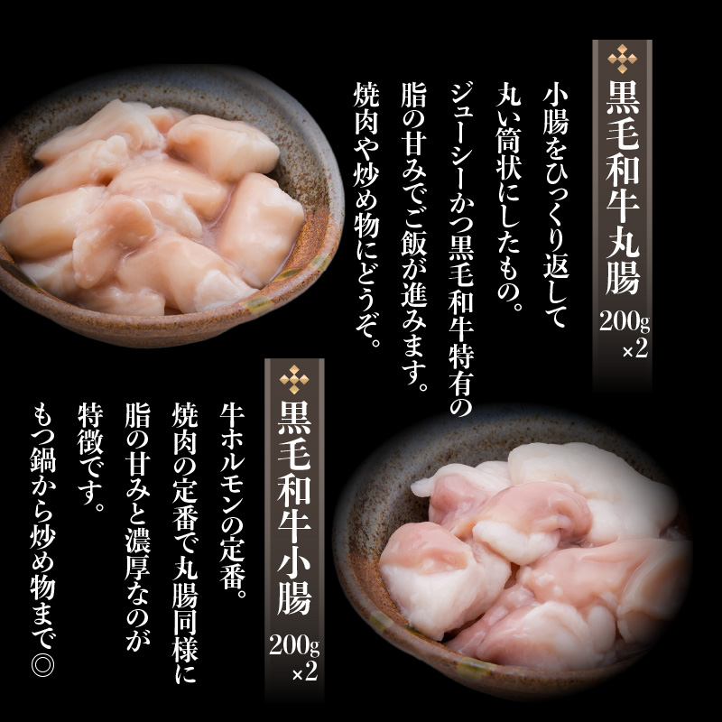 牛もつ（ホルモン）食べ尽くし！オールスターセット　K002-008