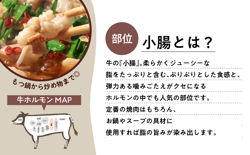 ワンランク上のもつ鍋に！上ホルモン1.8kg（200g×9パック）　K002-004_03