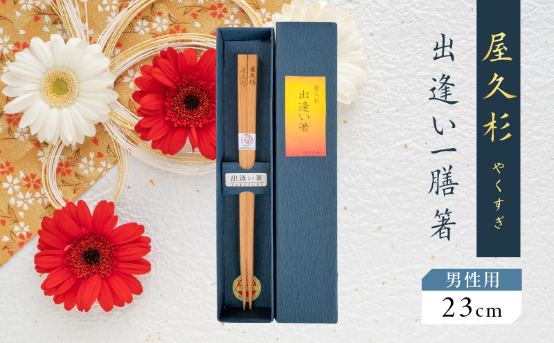 屋久杉 出逢い一膳箸 男性用（23cm）　K042-007_2
