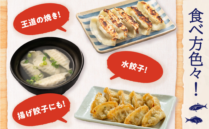 出水田鮮魚のおさかな餃子（8個×4パック）　K294-002