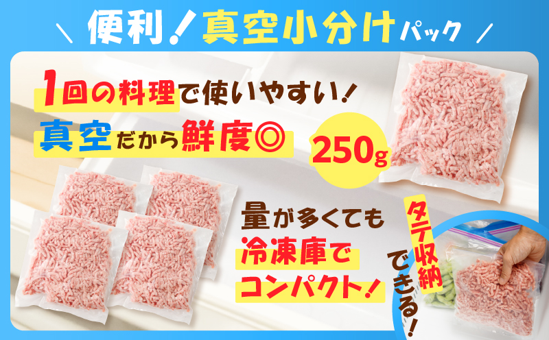 鹿児島県産 黒豚ミンチ 1kg　K025-013_02