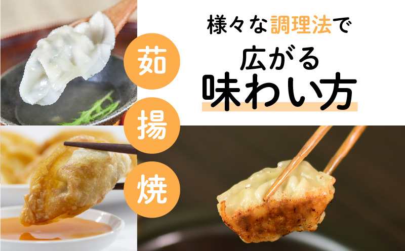 ちゃこばあちゃんの黒豚入りうんまか生餃子　60個入り　K027-001