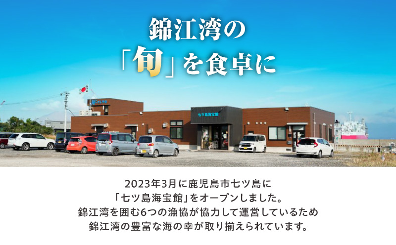 鹿児島錦江湾のソフト干物5種セット　K295-001