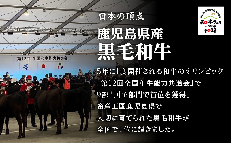 【岩元精肉店】鹿児島県産精肉 厳選4か月お届けコース　K045-T04