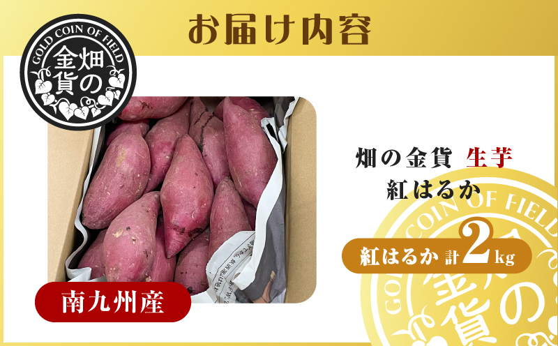 【2025年先行予約】畑の金貨　生芋　紅はるか2kg　K181-004