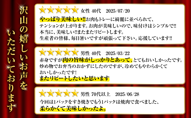鹿児島県産黒毛和牛赤身スライス1.24kg（310g×4P）　K086-052