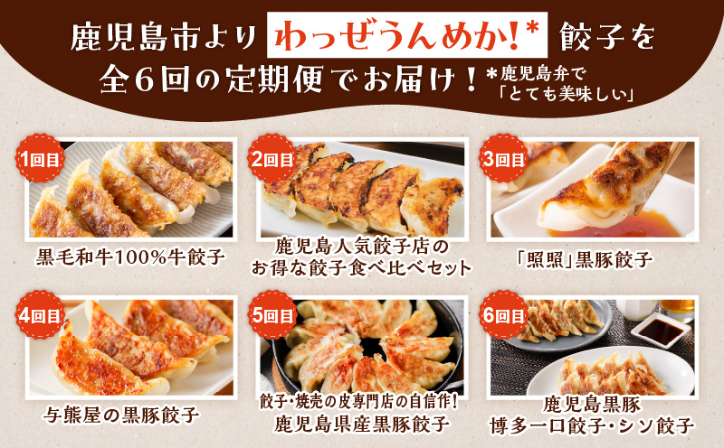 【全6回】うんめか餃子定期便　K000-T2311