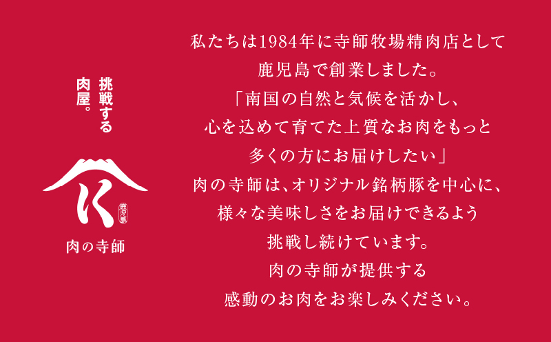 寺師の国産牛もつ鍋セット 2〜3人前　K005-002
