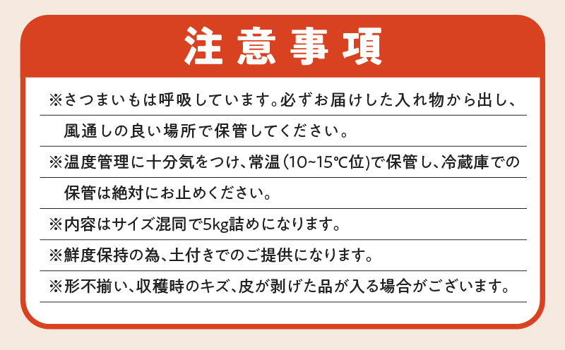 サイズバラバラ熟成べにはるか（生芋）土付き5kg　K270-001