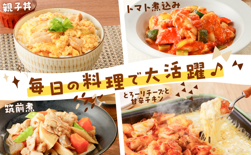 【国産】鶏モモ（うす塩）6kg（300g×20P）　K025-012_09