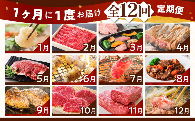 【全12回】鹿児島黒毛和牛定期便　K130-T01
