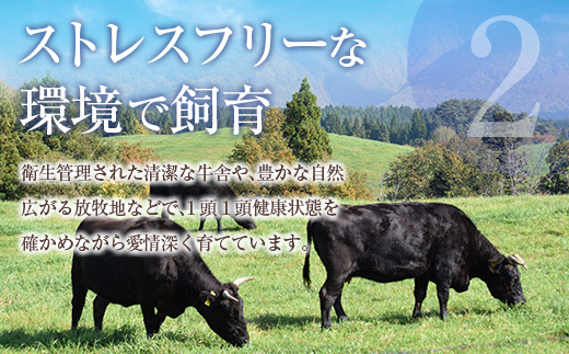 自社ブランド牛【上村牛】ユッケ8人前　K208-017