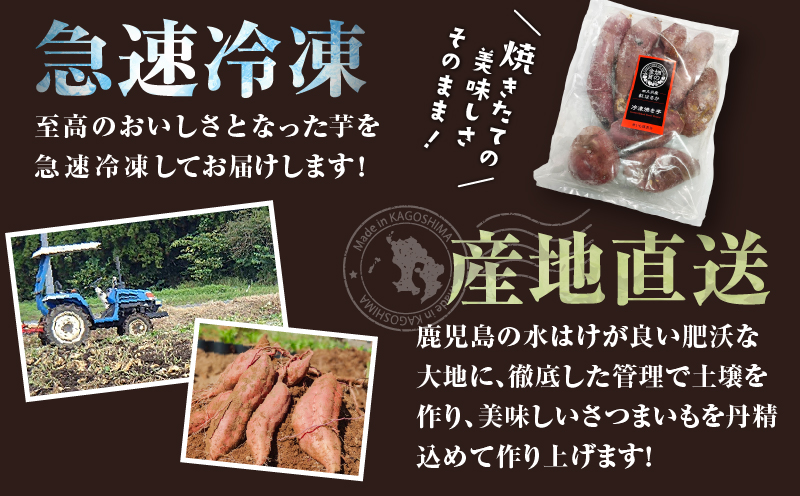 焼き芋セット 紅はるか シルクスイート 合計2kg　K181-010
