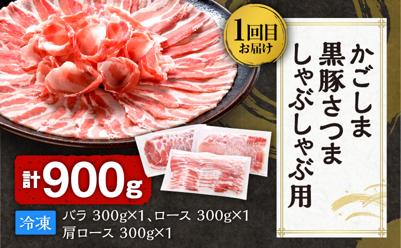 【全5回】一家に一肉！鹿児島の万能お肉定期便　K000-T2326