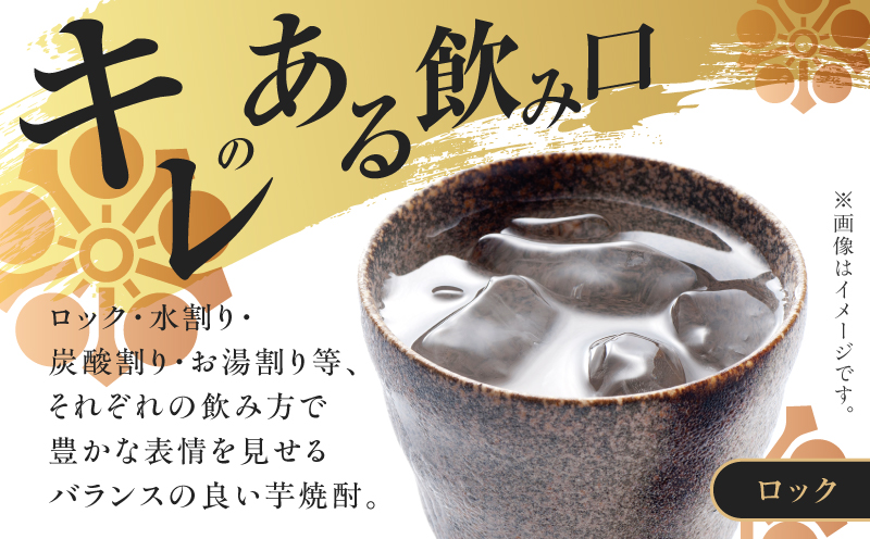 相良 芋焼酎 25度 900ml×12本　K377-021_04