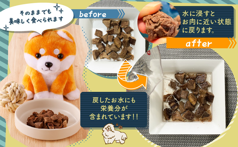 【増量】犬用　鹿肉フリーズドライ（23g）　K223-001