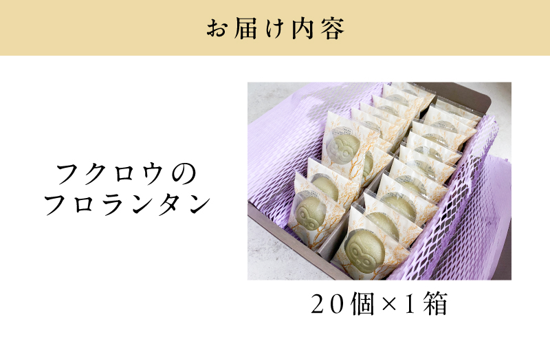 【20羽入】フクロウのフロランタン　K320-004_03