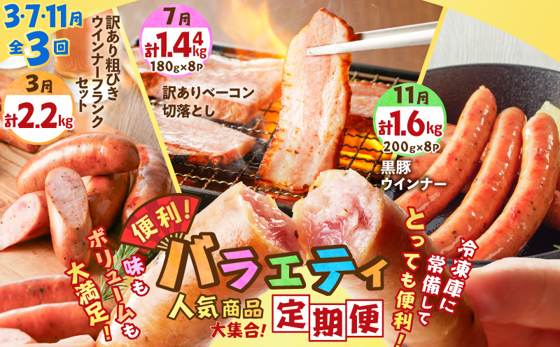 【全3回】バラエティ定期便（3・7・11月お届け）　K161-T05