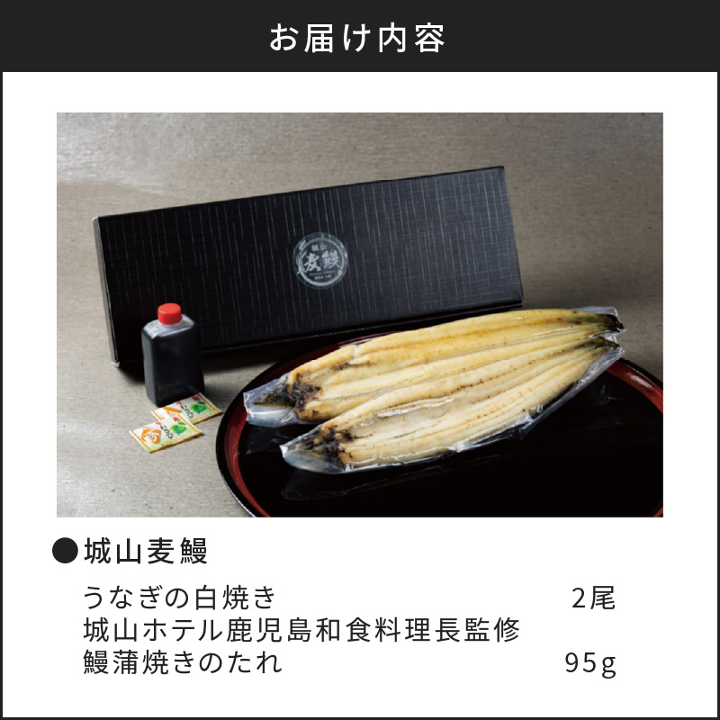 SHIROYAMA HOTEL kagoshima 城山麦鰻　K096-007