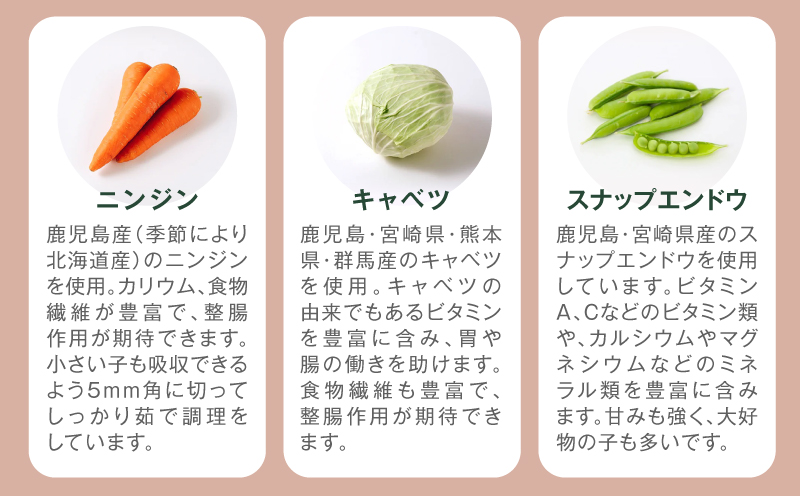 【全12回定期便】Buddy FOOD 01 黒毛和牛×6パック　K390-T01_c
