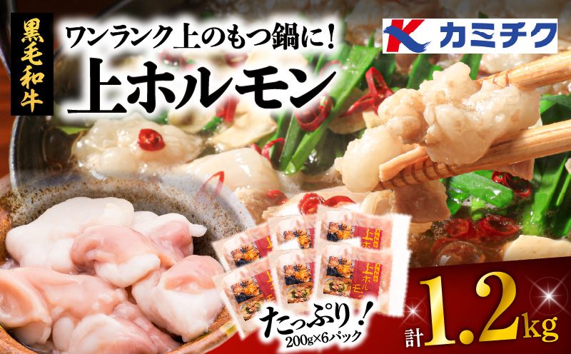 ワンランク上のもつ鍋に！小腸1.2kg（ホルモン）　K002-004