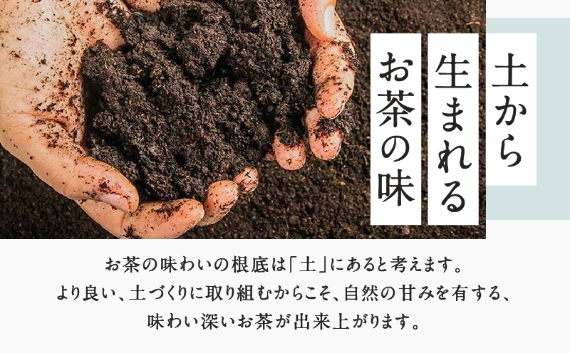 【新茶】2025/6/30まで！鹿児島特上深蒸し煎茶 彩緑天 3本セット　K112-002_shincha