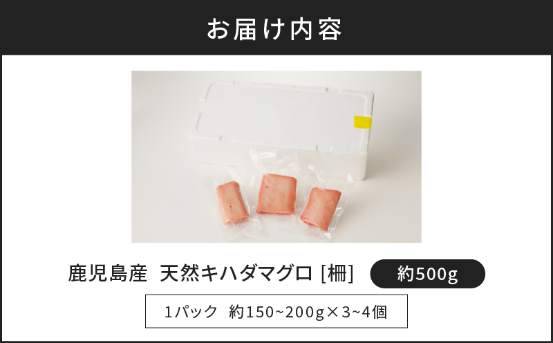 鹿児島産　天然　キハダマグロ　柵　約500g　K100-005