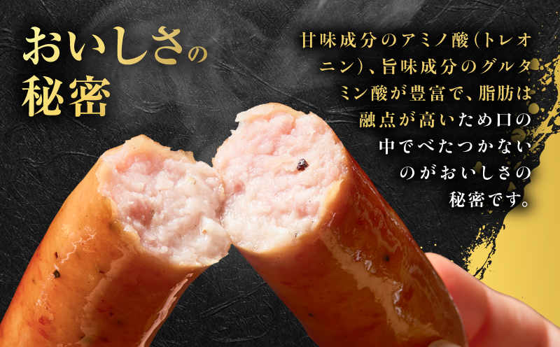 種豚場がお届けする鹿児島伝統の黒豚 黒胡椒の効いた黒豚ウインナー　K125-002