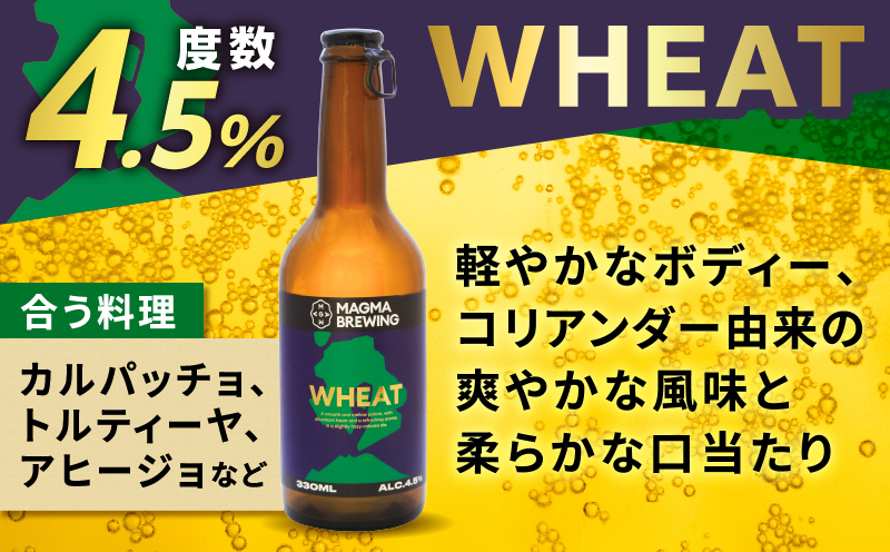 クラフトビール3本飲み比べセット　K267-001