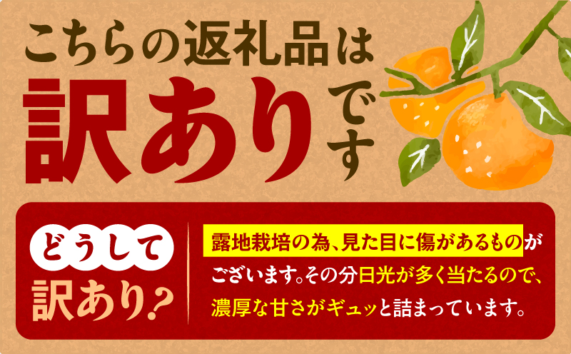 【訳あり品】旬の朝採り！鹿児島桜島小みかん 1箱　K343-003